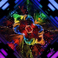 Vortex Psychadelic GIF