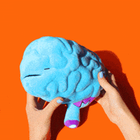 Final Exam Study GIF by I Heart Guts