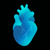 Osteopathic Medicine Heart GIF by PCOM