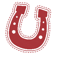 horseshoe countryfest Sticker by 98.7 The Bull