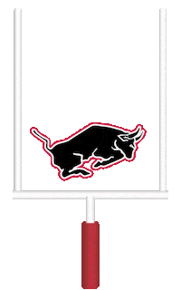 Field Goal Football Sticker by Hannover Stampeders  AFC