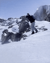 Chazzasauraus GIF