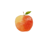 lisachiuqq food illustration apple fruit Sticker