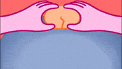 Animation Cooking GIF by Holler Studios