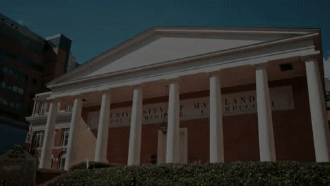 College Architecture GIF by University of Maryland, Baltimore