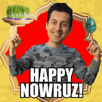 Celebrate New Years GIF by Max Amini