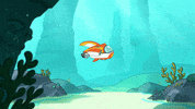 Spin Calypso GIF by Big Blue