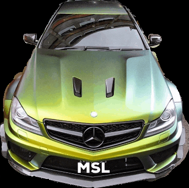 MSL_Team giphygifmaker giphygifmakermobile GIF