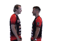 Floorball Salibandy Sticker by F-liiga