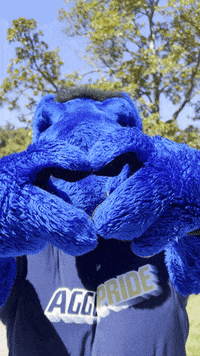 Horse Love GIF by UC Davis