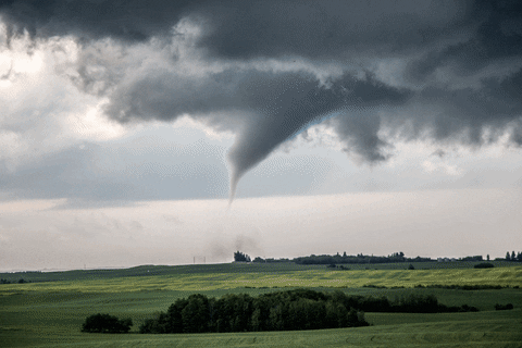 prairiestormchasers giphyupload tornado supercell alberta GIF
