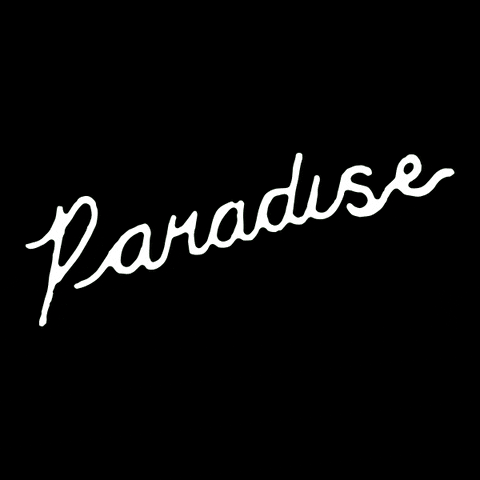 Pgc GIF by Paradise Garden Club
