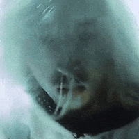Nervous Nerva GIF