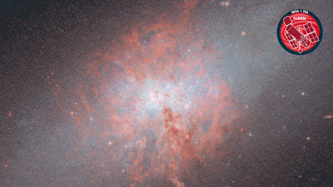 Stars Glowing GIF by ESA/Hubble Space Telescope