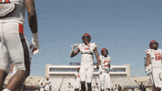 Texas Tech Tj Vasher GIF by Texas Tech Football