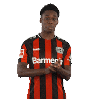 Sarcastic Sarcasm Sticker by Bayer 04 Leverkusen