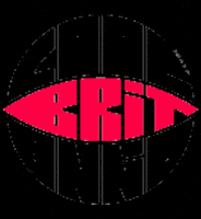 Cool Britannia GIF by Covo Club