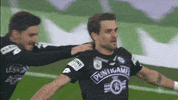 Sturm Graz GIF by SK Sturm