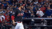 Celebrate Lets Go GIF by MLB