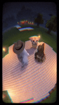 Cat GIF