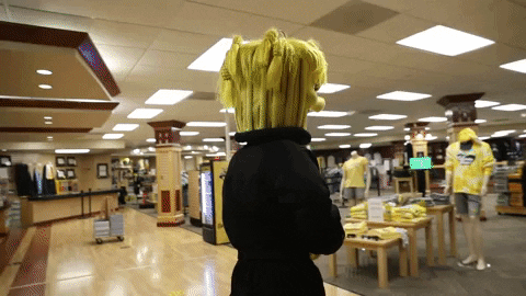 Wu_Shock giphyupload college wsu wu GIF