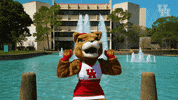 houstoncougars houston sasha gocoogs shasta GIF