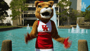 houstoncougars houston sasha gocoogs shasta GIF