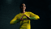 Oregon GIF by GoDucks