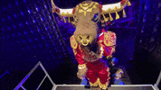 Season 6 Mask GIF by The Masked Singer
