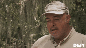 I've Neve Seen Two Alligators On The Same Line