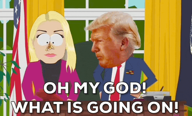 Donald Trump GIF by South Park