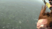 GIF by Studio Brussel