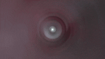 Yak GIF by ELYX