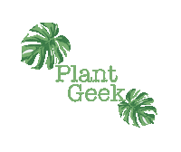 Take Care Plant Sticker by Demic