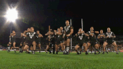 rugby league rlwc GIF by NRL