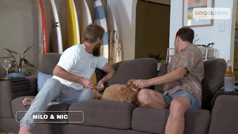 Watching Tv Milo GIF by Gogglebox Australia