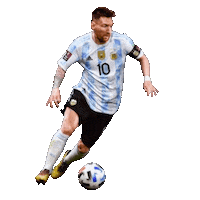 World Cup Football Sticker