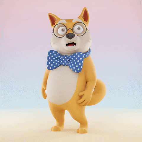 Shiba Inu What GIF by Doge Pound