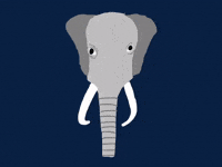 Elephant Ears GIF by Barbara Pozzi