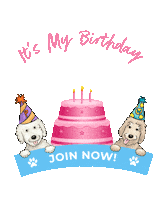 Happy Birthday Dog Collar Sticker by pancakeandwaffles