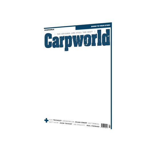 mirror magazine Sticker by Carpworld