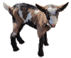 Goat Alm Sticker by Tirol-Schiffahrt