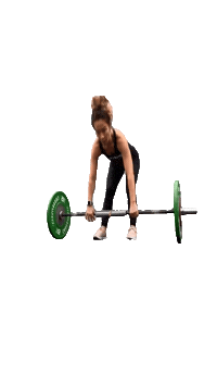 wolfsgym fitness clean squat barbell Sticker