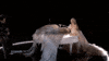 Lady Gaga 60Th Grammys GIF by Recording Academy / GRAMMYs