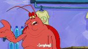 season 9 GIF by SpongeBob SquarePants