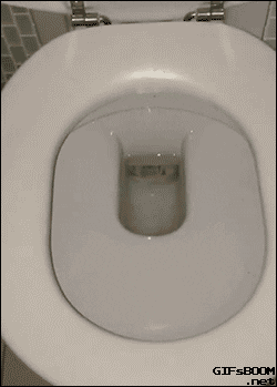 spider toilet GIF