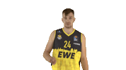 Ewe Baskets Basketball Sticker by EWE Baskets Oldenburg