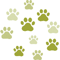 Paws Wpo Sticker by The Wholistic Pet