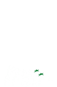 vamavechesocialclub litoral black sea vama veche vama Sticker
