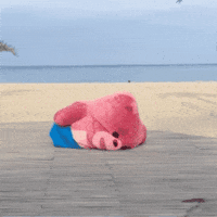 Fun Love GIF